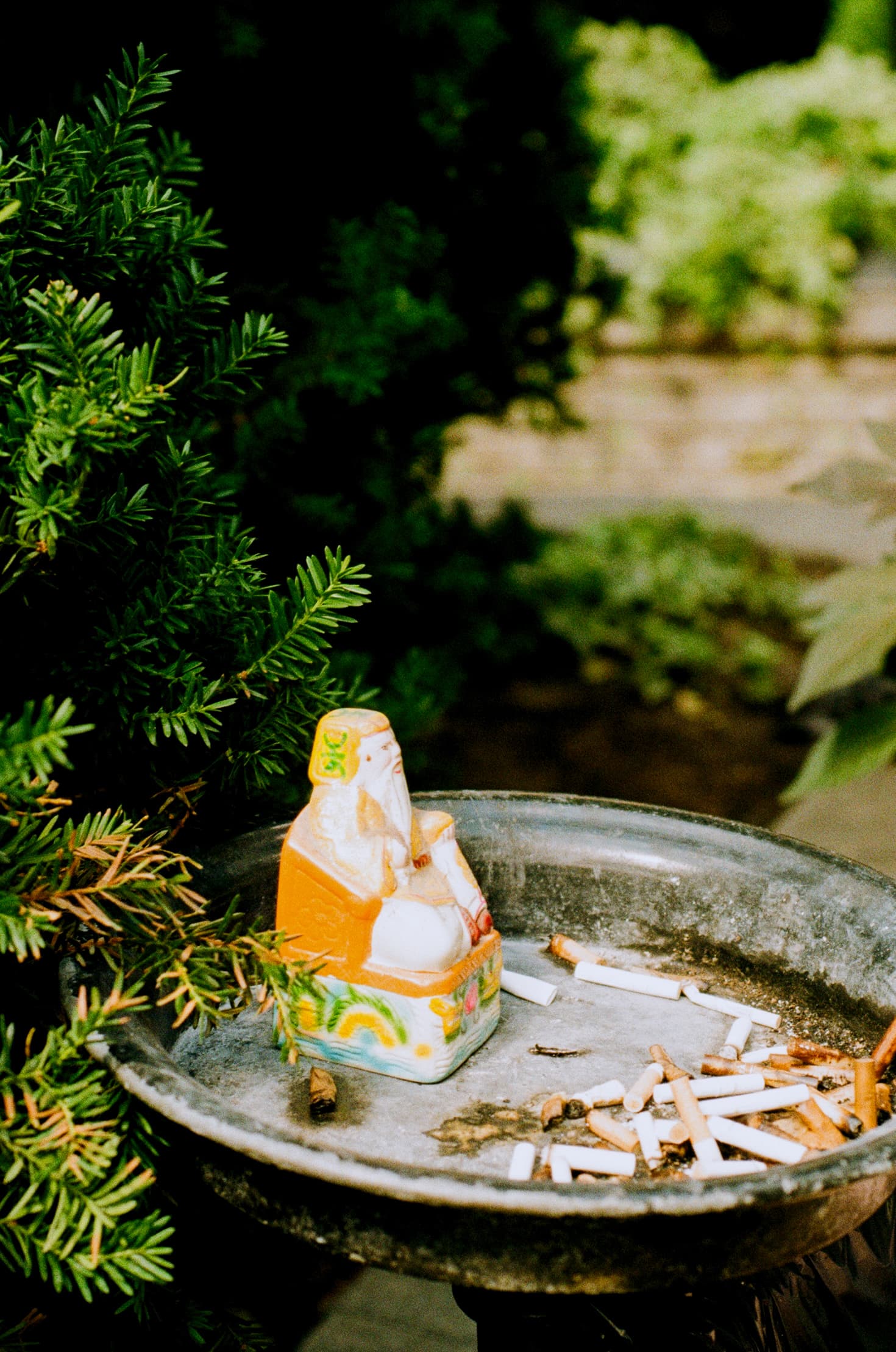 A Little Saint Among the Ashes