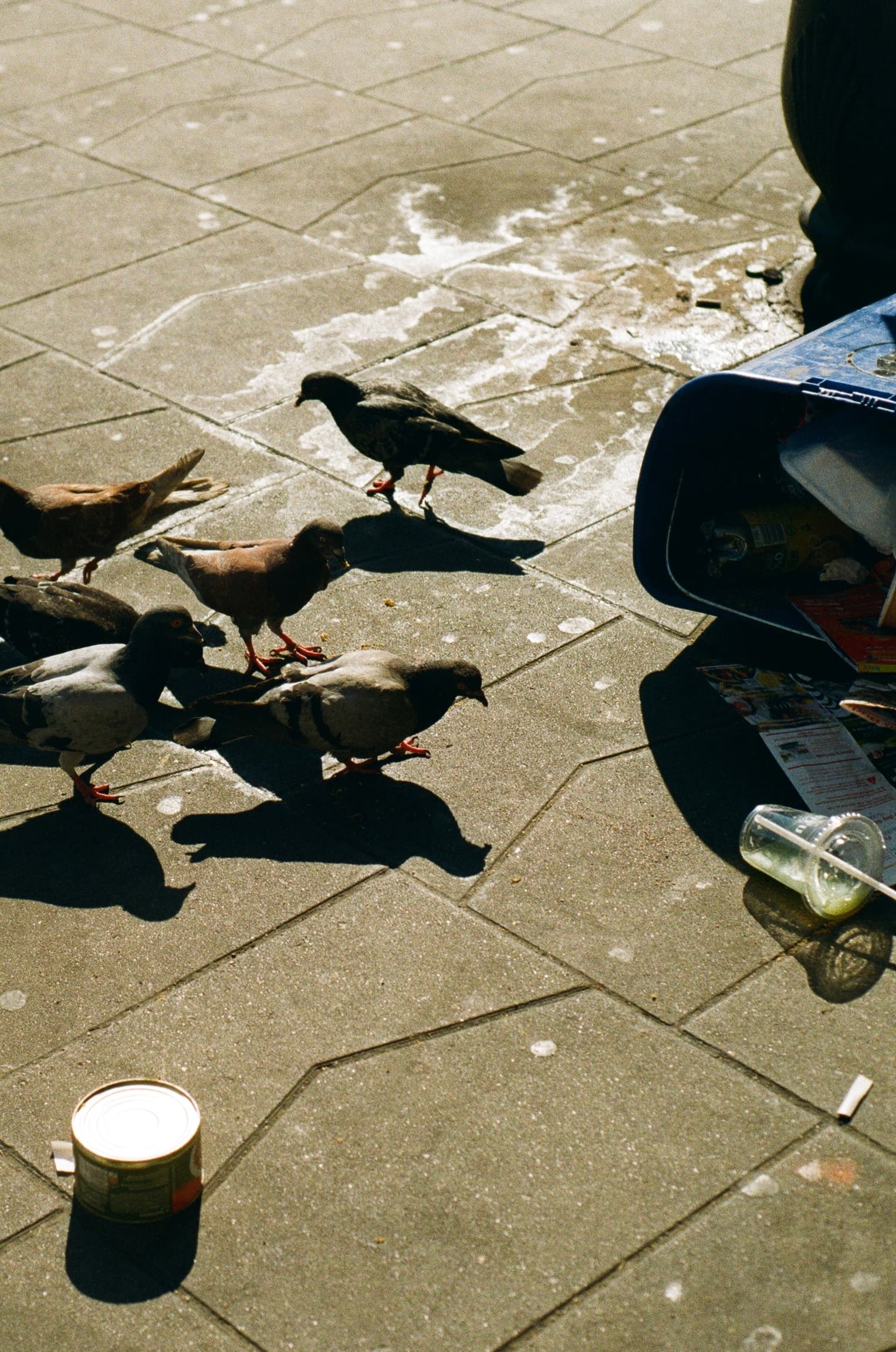 The Uninvited Guests