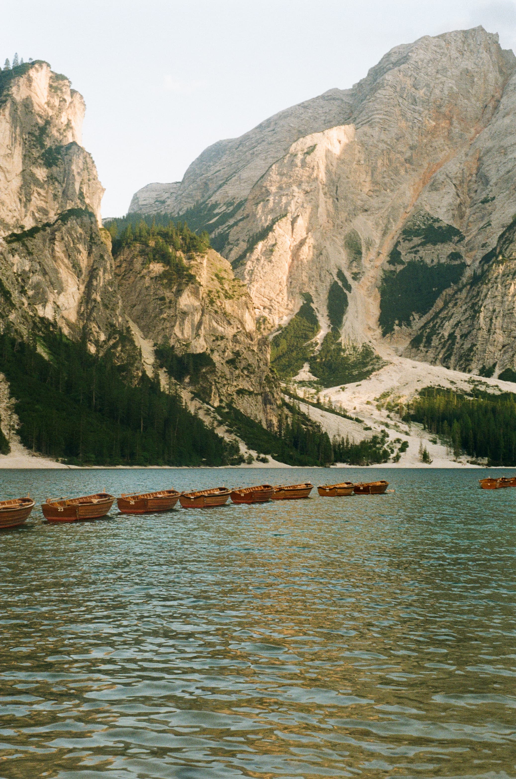 A Fleet at Rest
