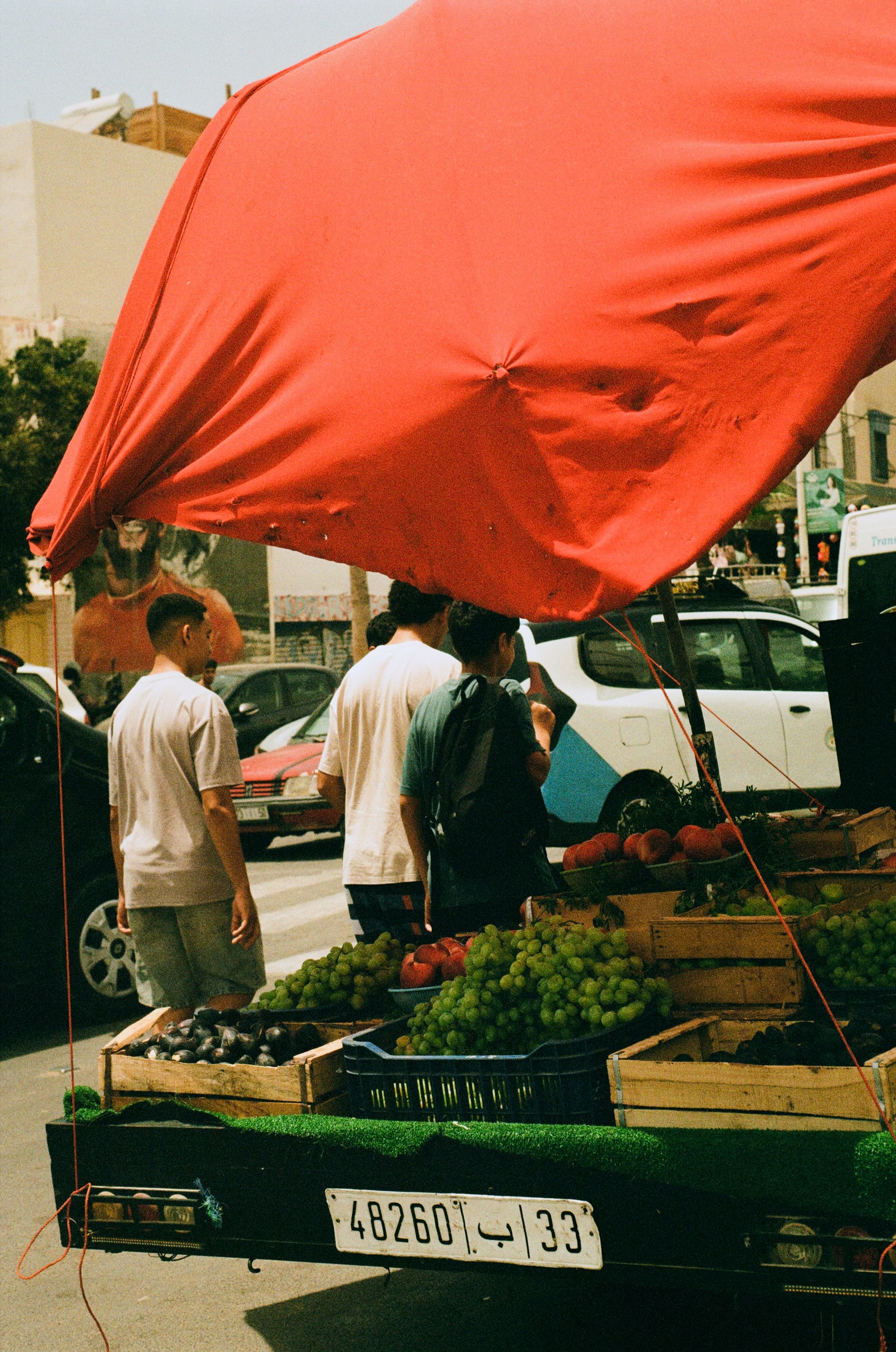 Grapes Under a Red Sail