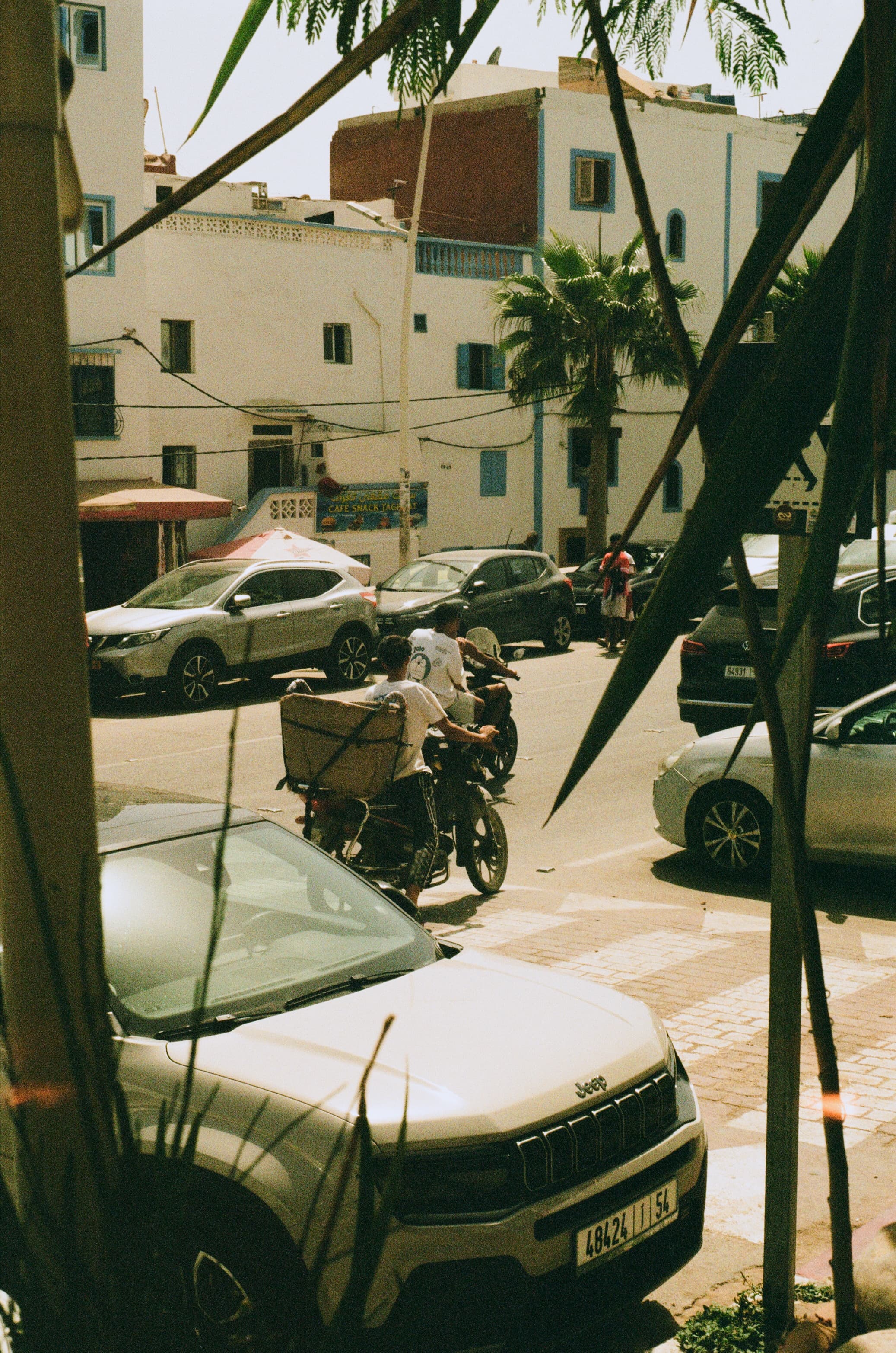 Through the Palm, the Ordinary Afternoon