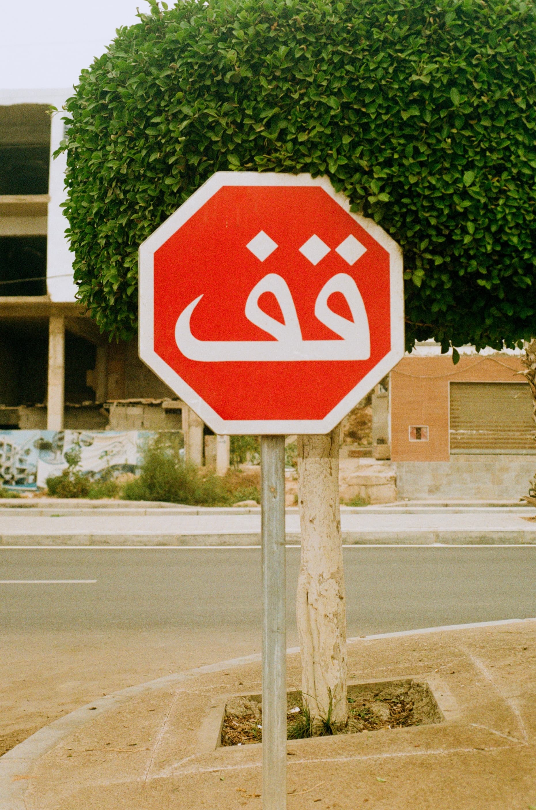 Stop, It Says, in a Language of Its Own
